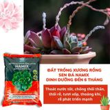  Đất trồng xương rồng sen đá Namix Succulents Potting Mix bộ 2 bao x 5 dm3 