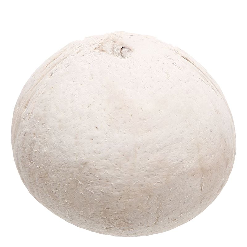  Dừa xiêm xanh Bến Tre cạo trọc giá sỉ 100 trái 