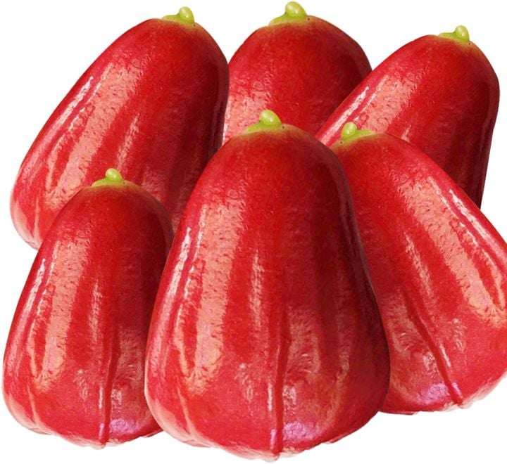  Mận An Phước đặc sản Đồng Tháp giá sỉ 1 kg 