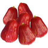  Mận An Phước đặc sản Đồng Tháp giá sỉ 1 kg 