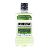  Nước súc miệng Listerine Natural Green Tea chai 250ml 