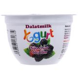  Sữa chua Dalat Milk vị dâu tằm 100g 