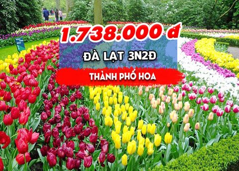  TOUR ĐÀ LẠT: THÀNH PHỐ HOA (3N2Đ) 