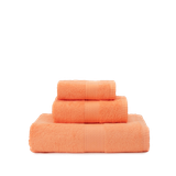  Combo 3 Khăn Tay Mollis Cotton 30x42cm Khăn Cao Cấp Mềm Mịn Thấm Hút Không Ra Màu Không Xù Đồ Lông Gia Đình Spa Khách Sạn HM50 