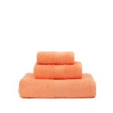  Combo 3 Khăn Mặt Mollis Cotton 40x75cm Khăn Cao Cấp Mềm Mịn Thấm Hút Không Ra Màu Không Xù Đồ Lông Gia Đình Spa Khách Sạn FM61 - PG79 