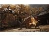Black Myth Wukong Deluxe Edition