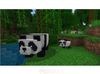 Minecraft Starter Collection