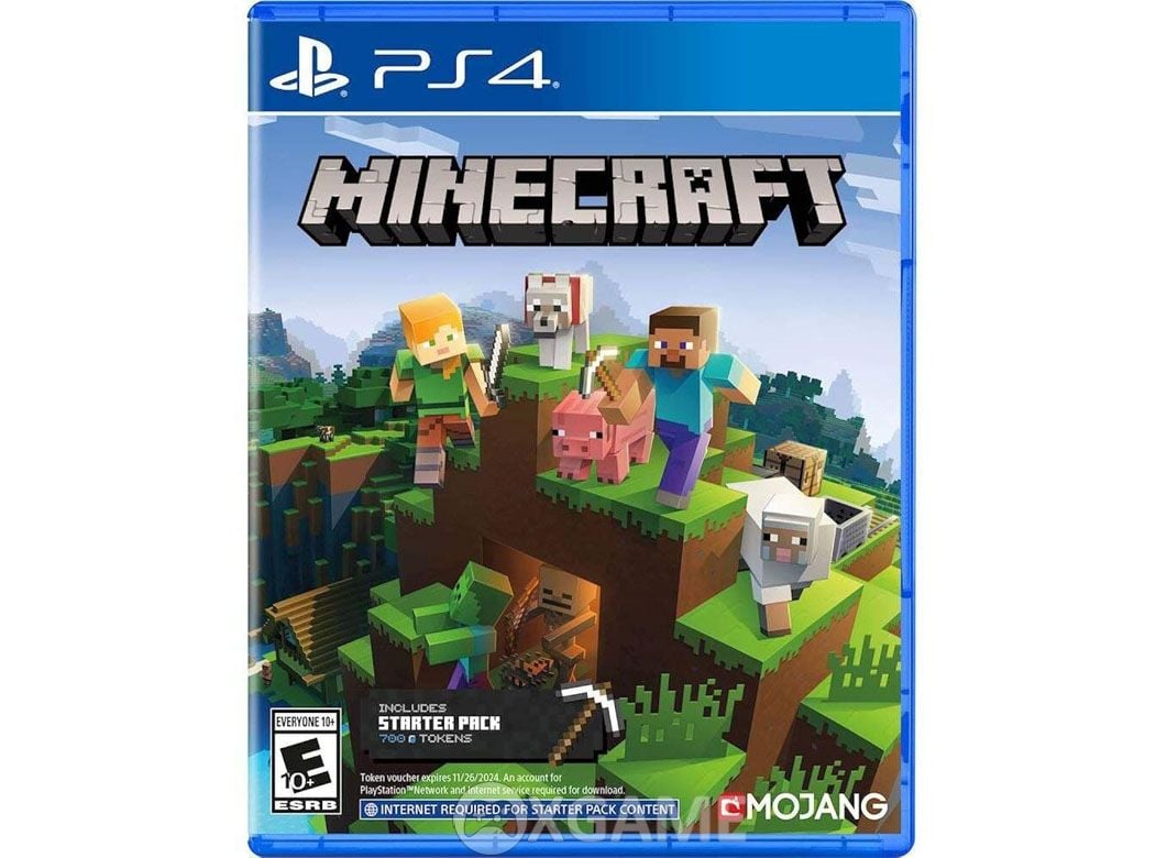 Minecraft Starter Collection