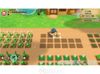 STORY OF SEASONS: Friends of Mineral Town