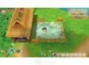 STORY OF SEASONS: Friends of Mineral Town