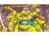 Teenage Mutant Ninja Turtles-The Cowabunga Collection