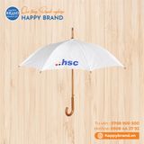 DÙ CẦM TAY HSC GỖ, R60, CÁN GỖ CONG