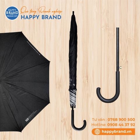 DÙ CẦM TAY SẮT, R60, CÁN NHỰA CONG