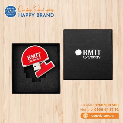 USB Nhựa RMIT University Vietnam - USB02
