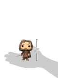 Mô hình Funko Lord of the Rings Hobbit-Aragorn