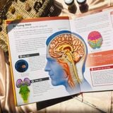  Human Body - Bách Khoa Toàn Thư Về Cơ Thể Chúng Ta 