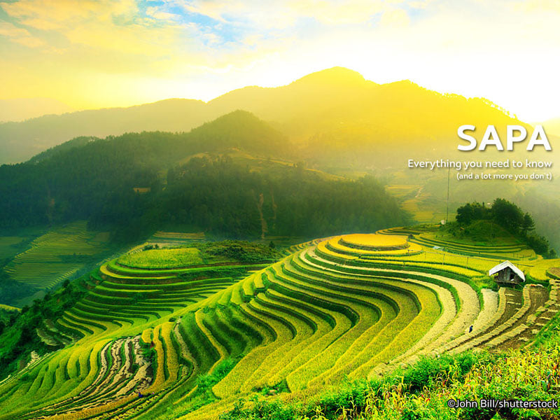 99 Hình Ảnh Sapa Thị Trấn Sương Mù Đẹp Nhất Chất Lượng 4k  Top 10 Hà Nội