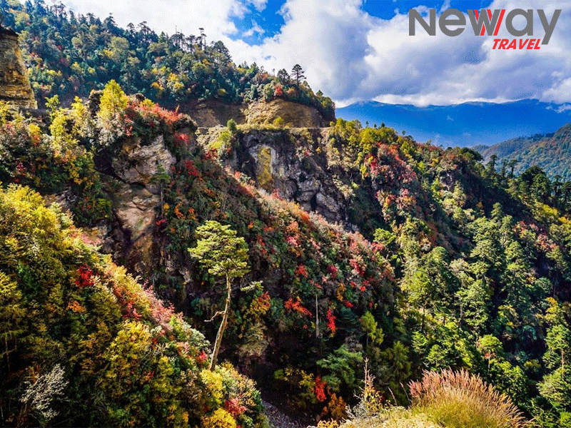 Tour Du Lịch Bhutan 5 ngày 4 đêm khởi hành mùng 3 tết. – Newway Jsc