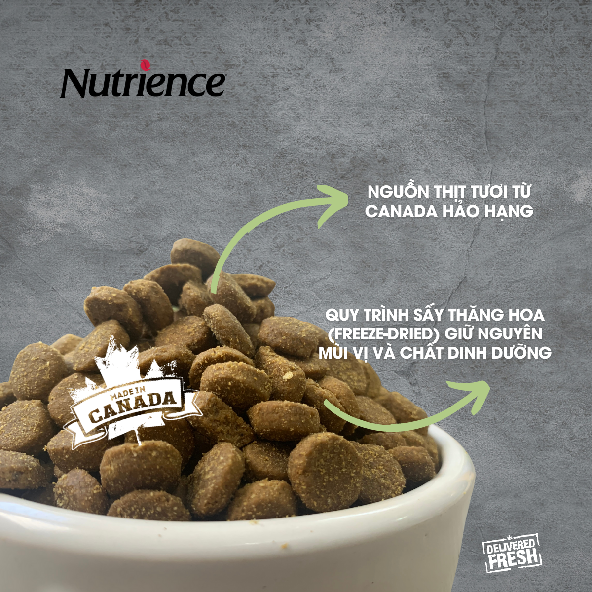 Nutrience infusion puppy food cheap