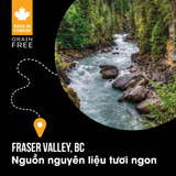  NT Subzero cho Mèo - Gà tây, cá hồi, cá trích, cá tuyết và rau củ quả tự nhiên (Cho mọi giống mèo ở mọi lứa tuổi) 