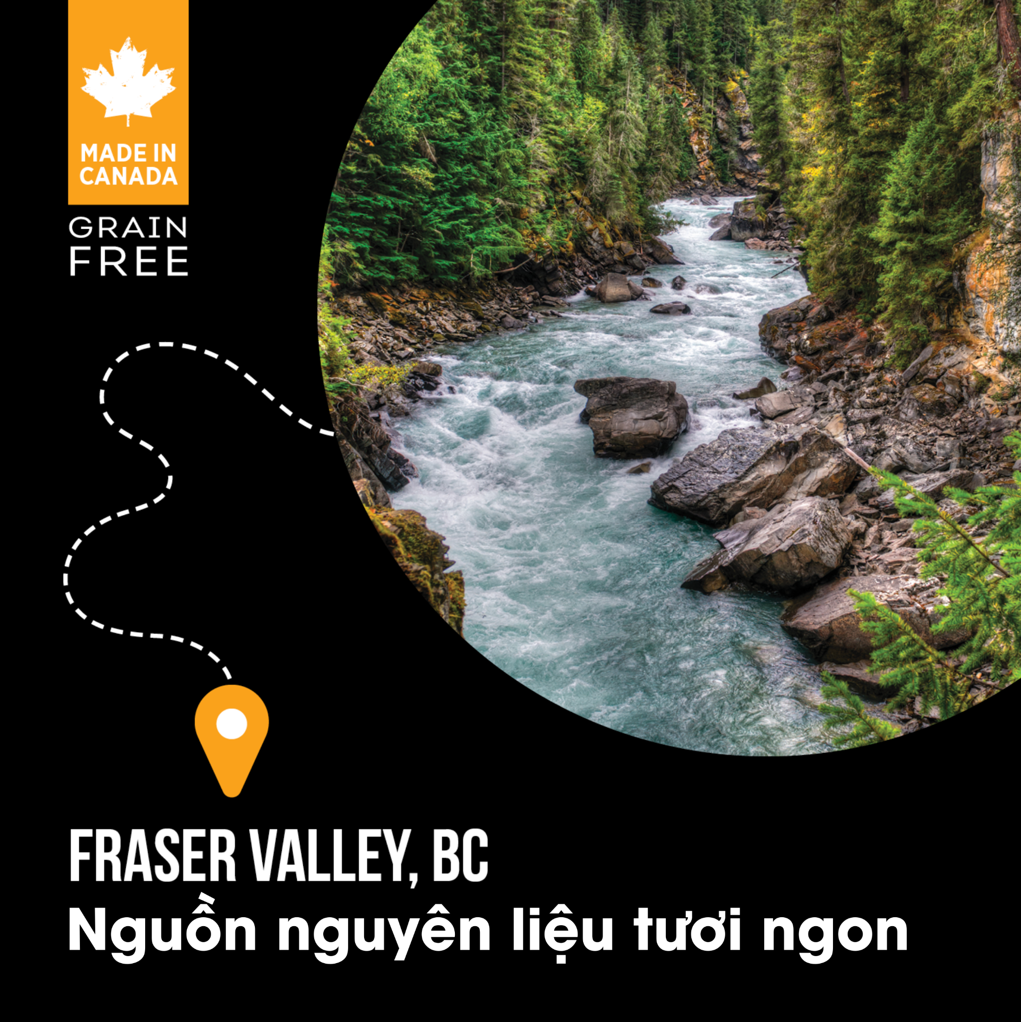  NT Subzero cho Mèo - Gà tây, cá hồi, cá trích, cá tuyết và rau củ quả tự nhiên (Cho mọi giống mèo ở mọi lứa tuổi) 