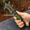 Dao gấp Rồng Xanh Dark Blade
