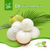 Set 06 Dừa Thơm Dứa