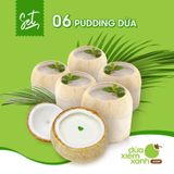 Set 06 Pudding Dừa