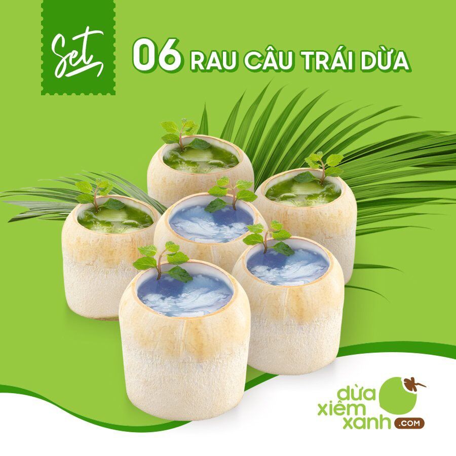 Set 06 Rau Câu Trái Dừa – Dừa Xiêm Xanh - Dừa Xiêm Dứa - Rau Câu Trái Dừa -  Pudding Dừa