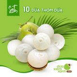 Set 10 Dừa Thơm Dứa