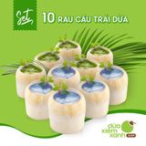 Set 10 Rau câu Trái Dừa