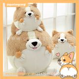  GẤU BÔNG CORGI TRÒN 