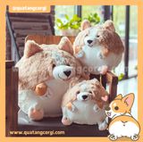  GẤU BÔNG CORGI TRÒN 