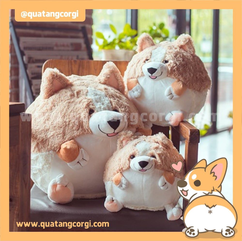  GẤU BÔNG CORGI TRÒN 