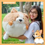  GẤU BÔNG CORGI TRÒN 