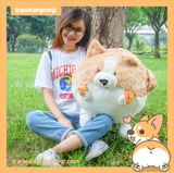  GẤU BÔNG CORGI TRÒN 