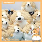  GẤU BÔNG CORGI TRÒN 