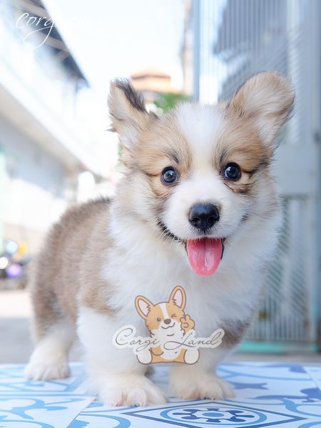 [BÉ ERI] - CÁI 2 THÁNG TUỔI 