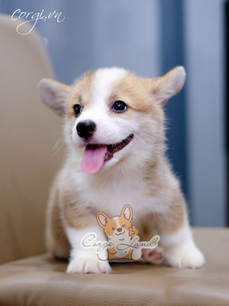  [BÉ LILY] - CÁI 2 THÁNG TUỔI 