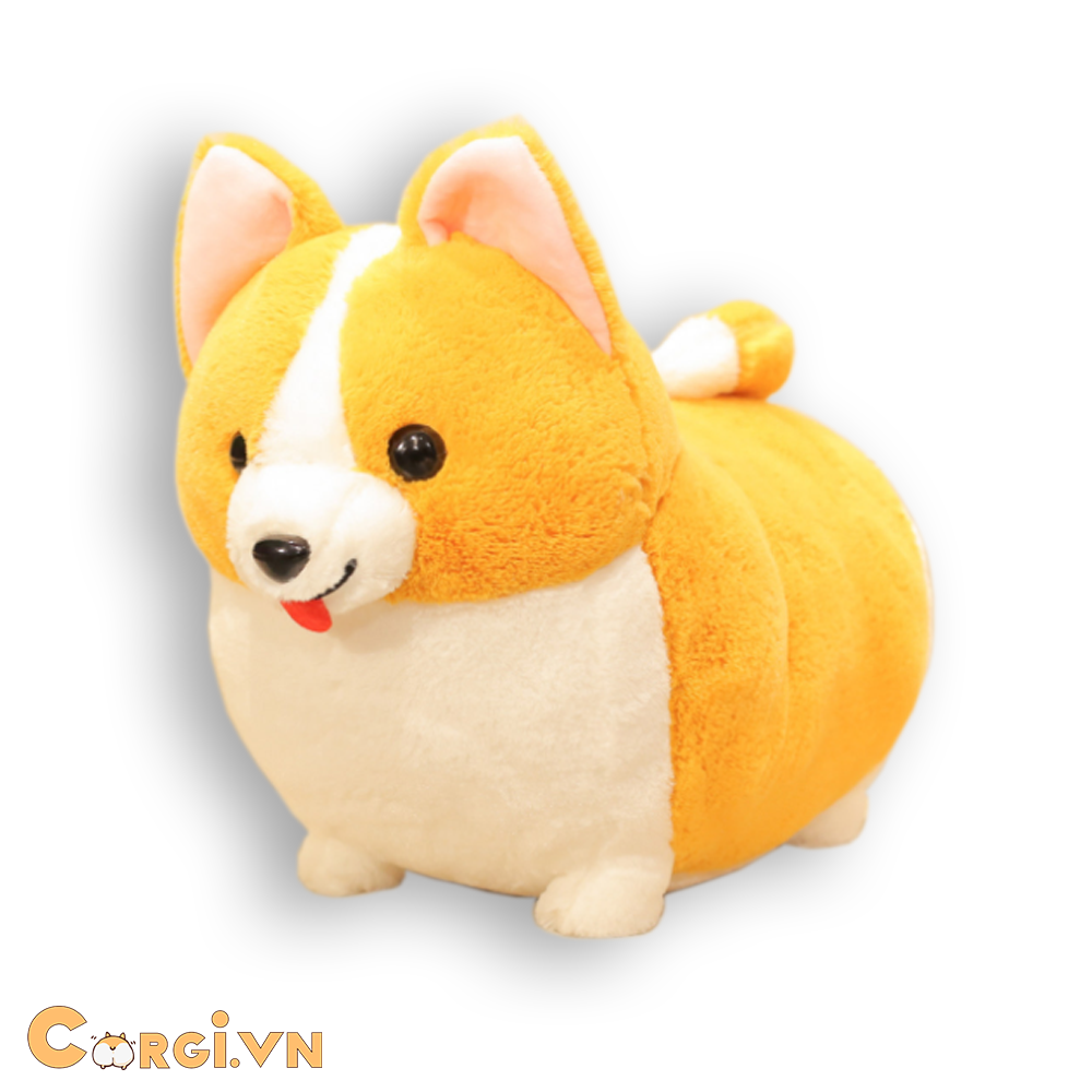  CHÓ BÔNG CORGI - BEST SELLER 