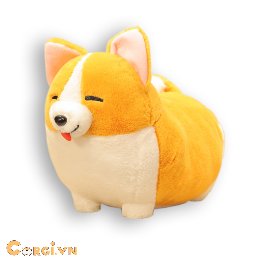  CHÓ BÔNG CORGI - BEST SELLER 