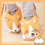  DÉP CORGI ĐẶC BIỆT 