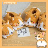  DÉP CORGI ĐẶC BIỆT 