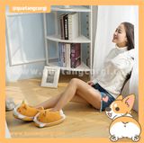  DÉP CORGI ĐẶC BIỆT 