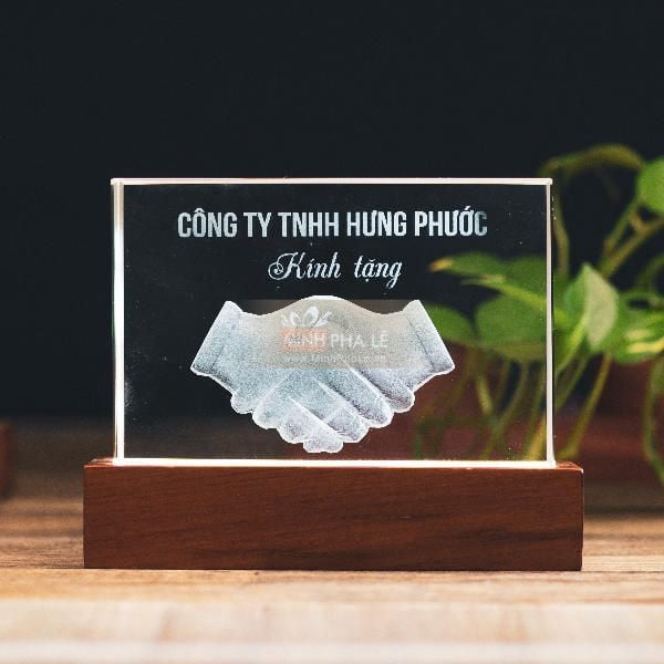 Khối pha lê 3d hợp tác và đế gỗ led