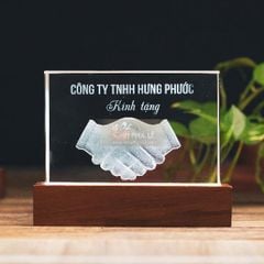 Khối pha lê 3d hợp tác và đế gỗ led