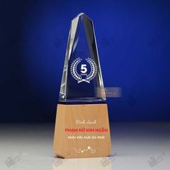 Cúp vinh danh pha lê gỗ CB021