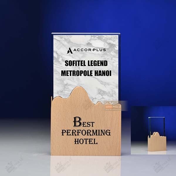 Kỷ niệm chương pha lê gỗ nhiều màu sắc CB026