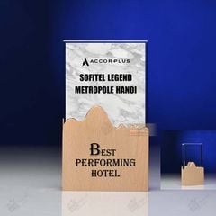 Kỷ niệm chương pha lê gỗ nhiều màu sắc CB026