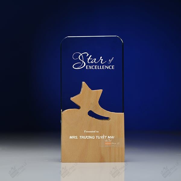 Kỷ niệm chương pha lê gỗ nhiều màu sắc CB027